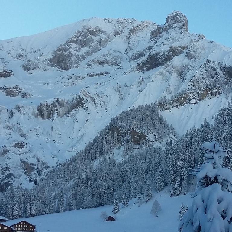 Villa Bunderbach Adelboden Esterno foto